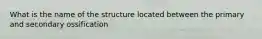 What is the name of the structure located between the primary and secondary ossification