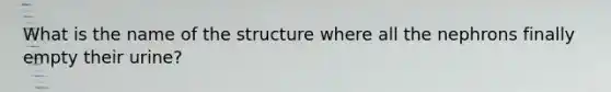 What is the name of the structure where all the nephrons finally empty their urine?