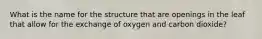 What is the name for the structure that are openings in the leaf that allow for the exchange of oxygen and carbon dioxide?