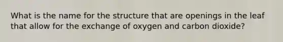 What is the name for the structure that are openings in the leaf that allow for the exchange of oxygen and carbon dioxide?