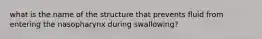 what is the name of the structure that prevents fluid from entering the nasopharynx during swallowing?