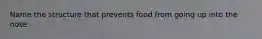 Name the structure that prevents food from going up into the nose.