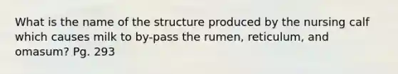 What is the name of the structure produced by the nursing calf which causes milk to by-pass the rumen, reticulum, and omasum? Pg. 293