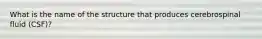 What is the name of the structure that produces cerebrospinal fluid (CSF)?