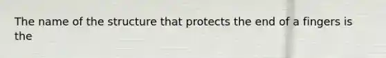 The name of the structure that protects the end of a fingers is the