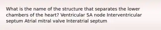 What is the name of the structure that separates the lower chambers of the heart? Ventricular SA node Interventricular septum Atrial mitral valve Interatrial septum