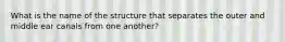 What is the name of the structure that separates the outer and middle ear canals from one another?