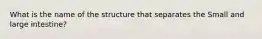 What is the name of the structure that separates the Small and large intestine?