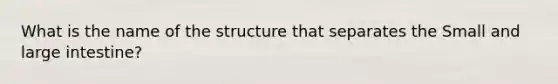 What is the name of the structure that separates the Small and large intestine?