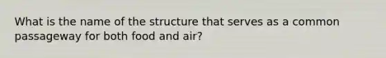 What is the name of the structure that serves as a common passageway for both food and air?