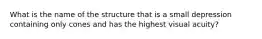 What is the name of the structure that is a small depression containing only cones and has the highest visual acuity?