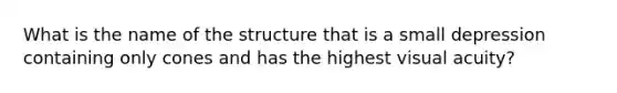 What is the name of the structure that is a small depression containing only cones and has the highest visual acuity?