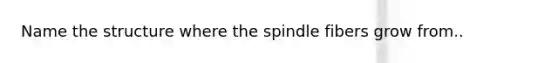 Name the structure where the spindle fibers grow from..