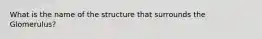 What is the name of the structure that surrounds the Glomerulus?