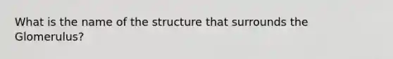 What is the name of the structure that surrounds the Glomerulus?