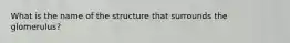 What is the name of the structure that surrounds the glomerulus?
