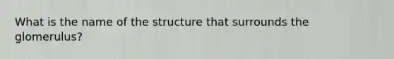 What is the name of the structure that surrounds the glomerulus?