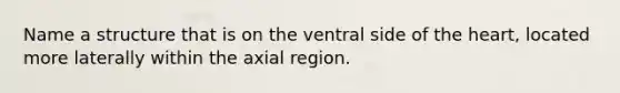 Name a structure that is on the ventral side of the heart, located more laterally within the axial region.