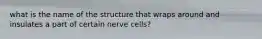 what is the name of the structure that wraps around and insulates a part of certain nerve cells?