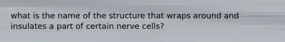 what is the name of the structure that wraps around and insulates a part of certain nerve cells?