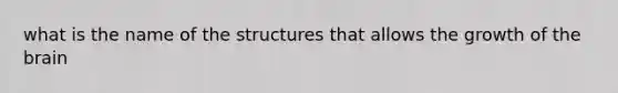 what is the name of the structures that allows the growth of the brain