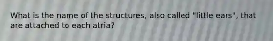 What is the name of the structures, also called "little ears", that are attached to each atria?