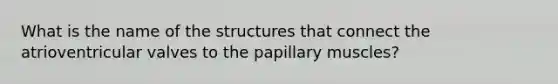 What is the name of the structures that connect the atrioventricular valves to the papillary muscles?