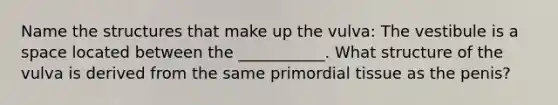 Name the structures that make up the vulva: The vestibule is a space located between the ___________. What structure of the vulva is derived from the same primordial tissue as the penis?