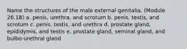 Name the structures of the male external genitalia. (Module 26.1B) a. penis, urethra, and scrotum b. penis, testis, and scrotum c. penis, testis, and urethra d. prostate gland, epididymis, and testis e. prostate gland, seminal gland, and bulbo-urethral gland