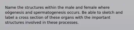 Name the structures within the male and female where oögenesis and spermatogenesis occurs. Be able to sketch and label a cross section of these organs with the important structures involved in these processes.