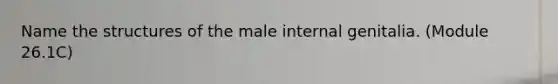 Name the structures of the male internal genitalia. (Module 26.1C)