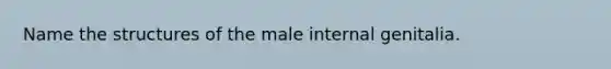 Name the structures of the male internal genitalia.