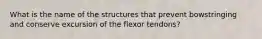 What is the name of the structures that prevent bowstringing and conserve excursion of the flexor tendons?