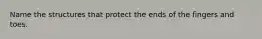 Name the structures that protect the ends of the fingers and toes.