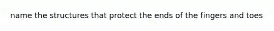name the structures that protect the ends of the fingers and toes