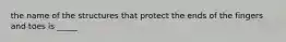 the name of the structures that protect the ends of the fingers and toes is _____