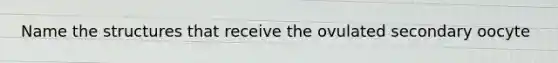 Name the structures that receive the ovulated secondary oocyte