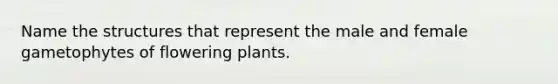 Name the structures that represent the male and female gametophytes of flowering plants.