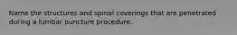 Name the structures and spinal coverings that are penetrated during a lumbar puncture procedure.