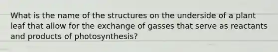 What is the name of the structures on the underside of a plant leaf that allow for the exchange of gasses that serve as reactants and products of photosynthesis?