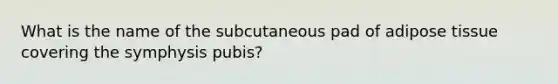 What is the name of the subcutaneous pad of adipose tissue covering the symphysis pubis?