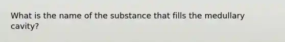 What is the name of the substance that fills the medullary cavity?