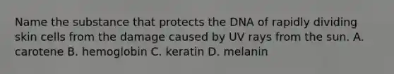 Name the substance that protects the DNA of rapidly dividing skin cells from the damage caused by UV rays from the sun. A. carotene B. hemoglobin C. keratin D. melanin