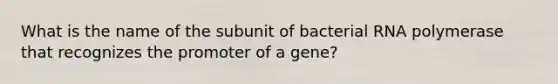 What is the name of the subunit of bacterial RNA polymerase that recognizes the promoter of a gene?