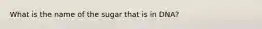 What is the name of the sugar that is in DNA?