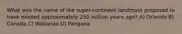 What was the name of the super-continent landmass proposed to have existed approximately 250 million years ago? A) Orlando B) Canada C) Wakanda D) Pangaea
