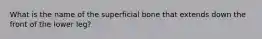 What is the name of the superficial bone that extends down the front of the lower leg?