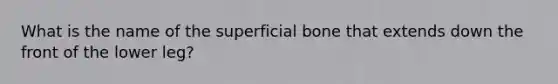 What is the name of the superficial bone that extends down the front of the lower leg?