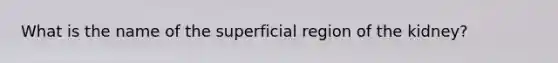 What is the name of the superficial region of the kidney?
