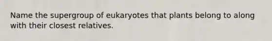 Name the supergroup of eukaryotes that plants belong to along with their closest relatives.